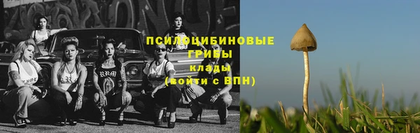 трава Волоколамск